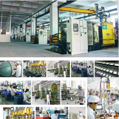 鲤城首家众益科技获评省级绿色工厂，网络技术服务实现可持续发展